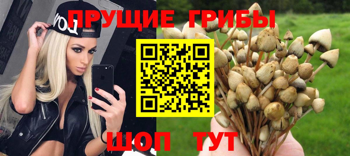Зеленодольск  Псилоцибиновые грибы ЛСД  Вход с VPN  Псилоцибиновые грибы ЛСД 